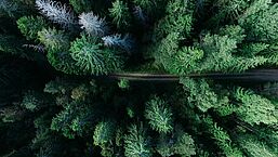 Photo by Geran de Klerk